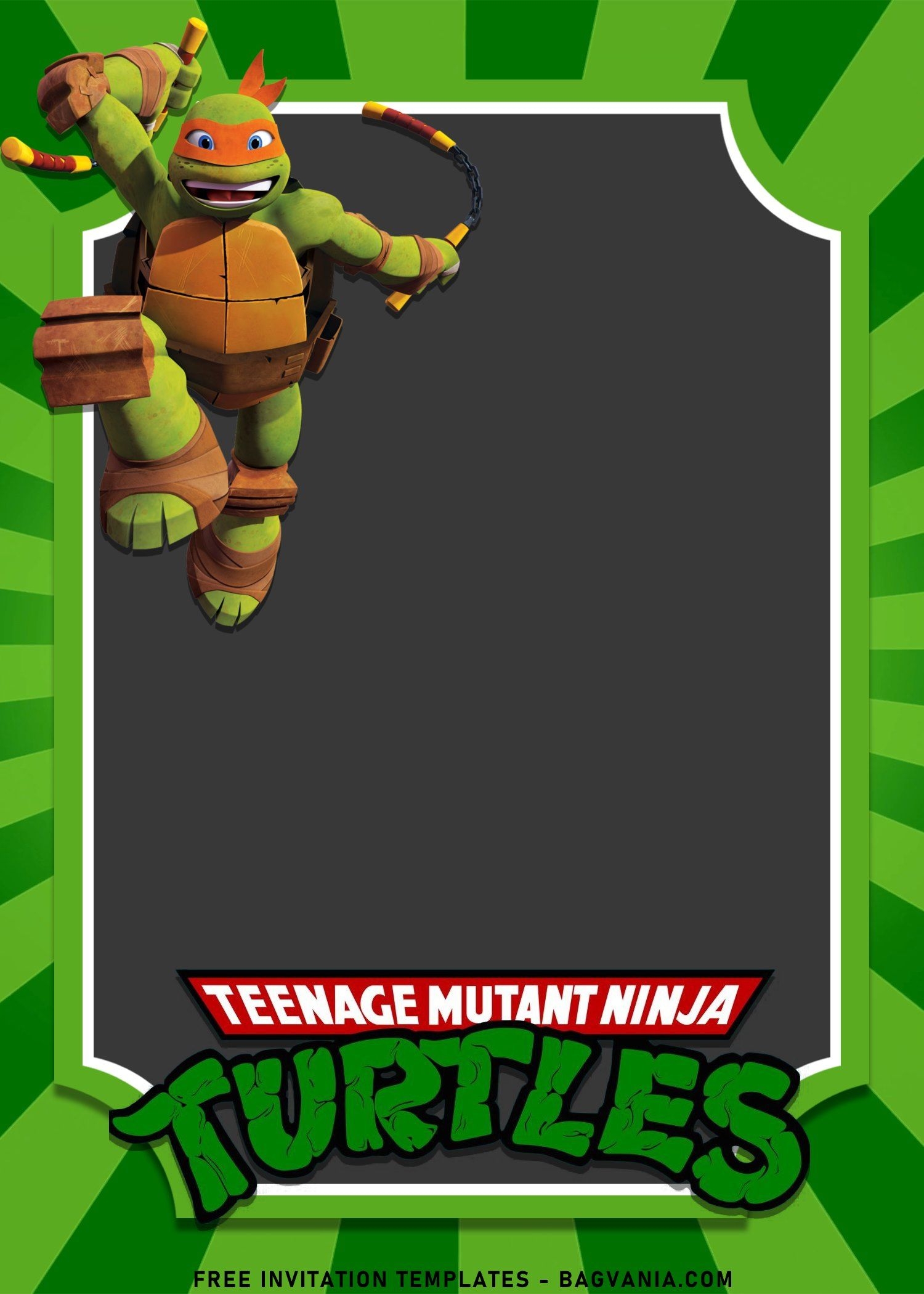 10 Awesome Teenage Mutant Ninja Turtles Birthday Invitation 