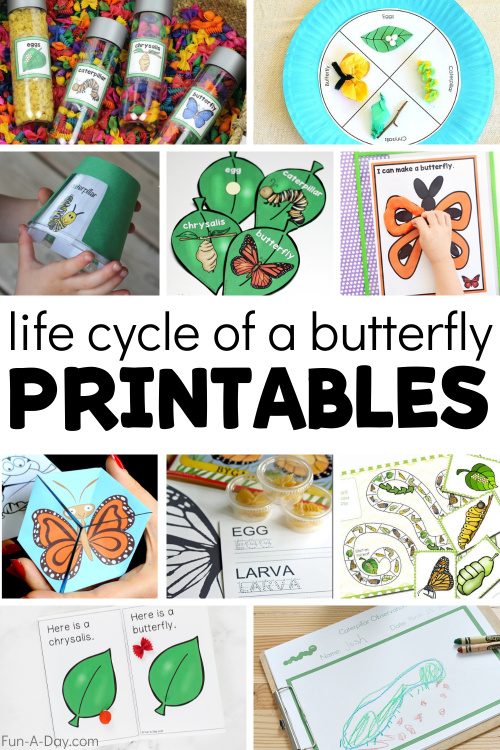 15 Free Life Cycle Of A Butterfly Printables Fun A Day 
