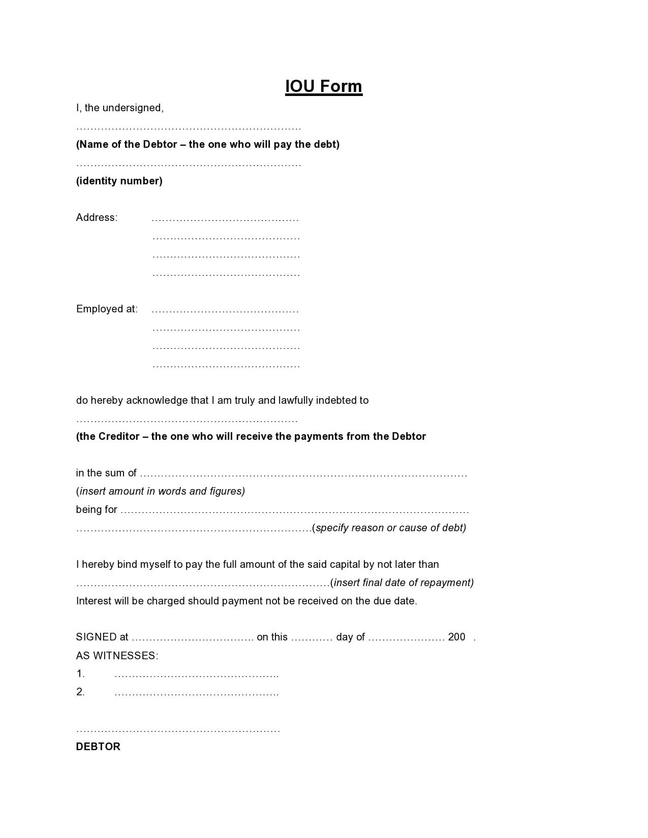 28 Free IOU Templates U0026 Forms I Owe You TemplateArchive