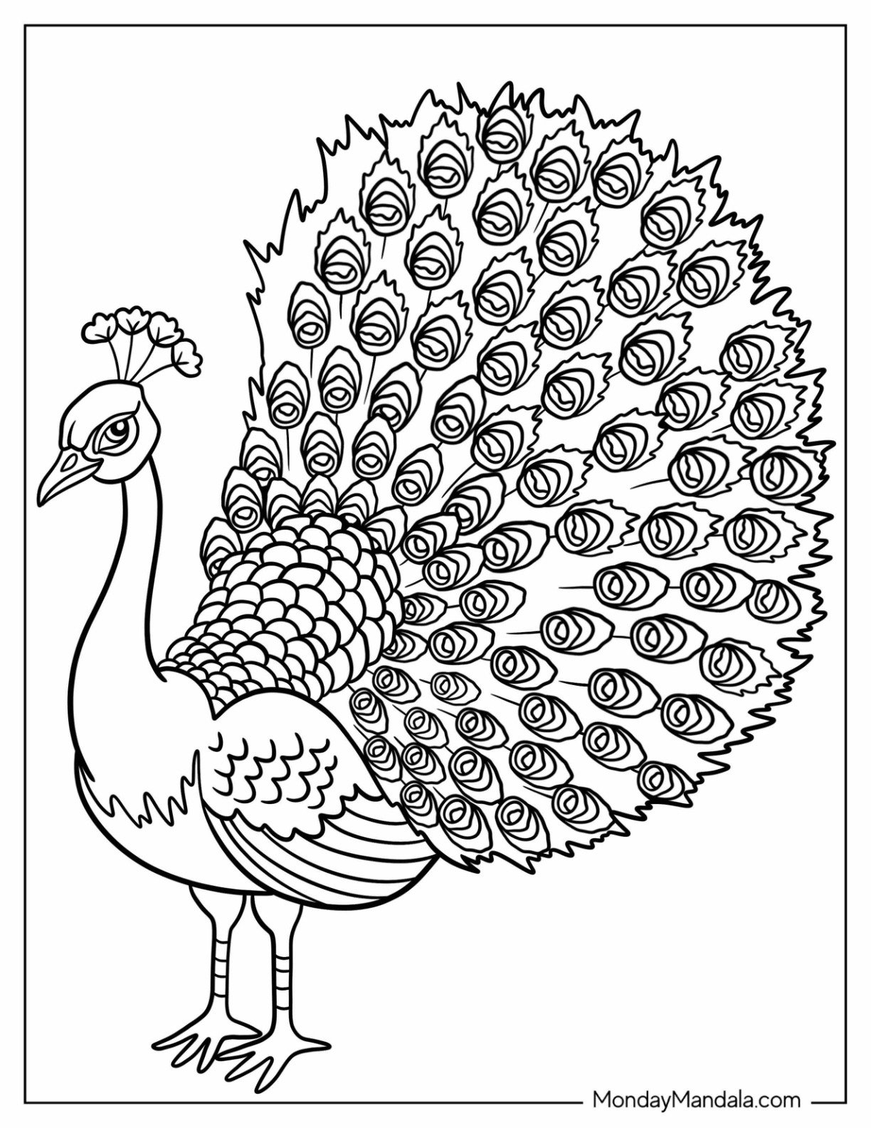 34 Peacock Coloring Pages Free PDF Printables 