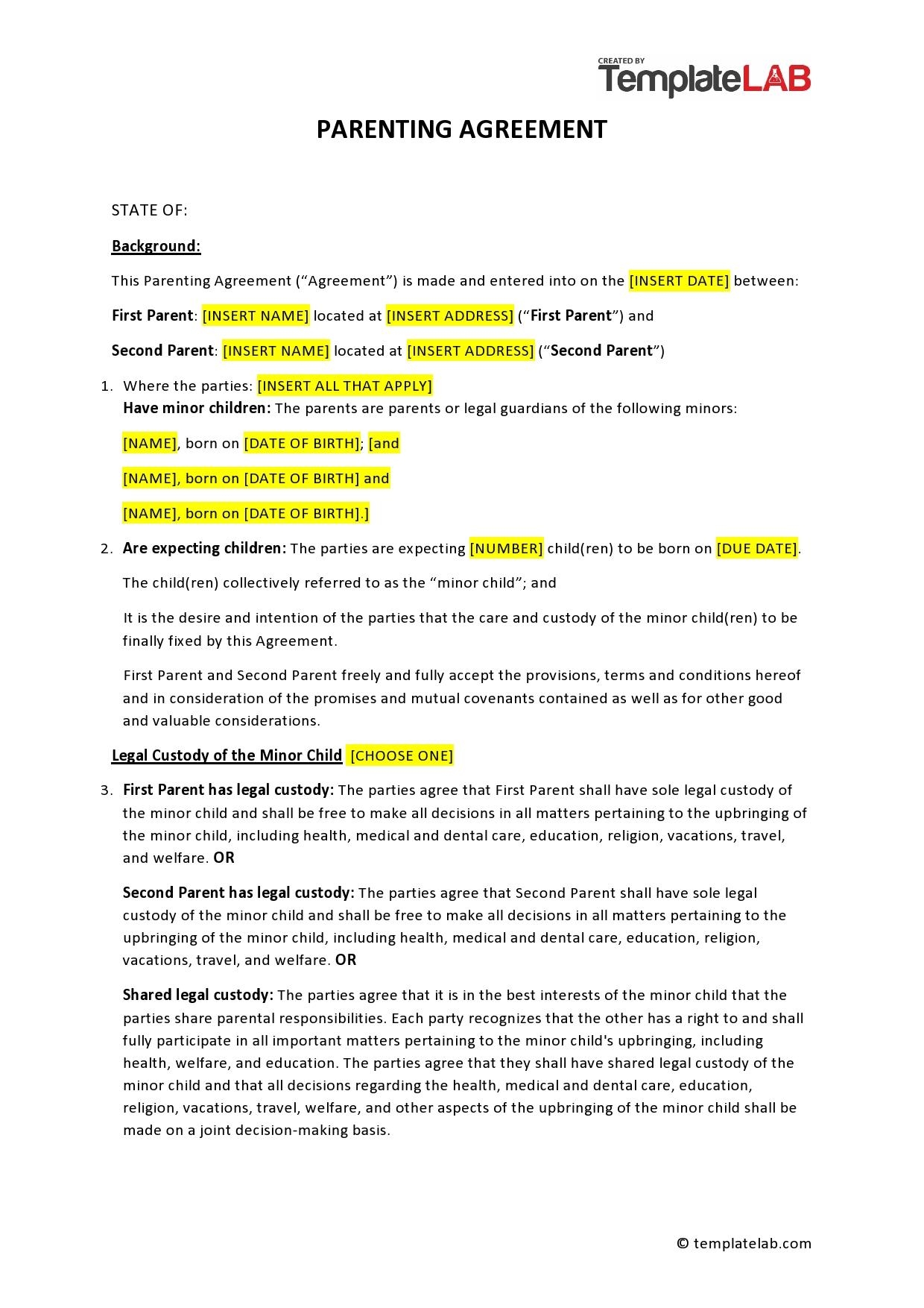 Free Printable Parenting Plan Template