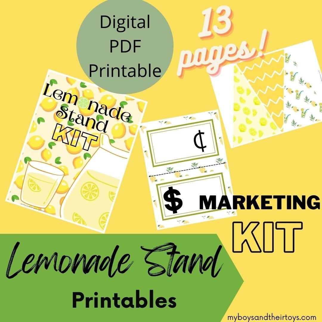Buy DIY Lemonade Stand Kit Printable Lemonade Stand Signs Summer Kids Activity Lemonade Stand Banner And Invitations Online In India Etsy