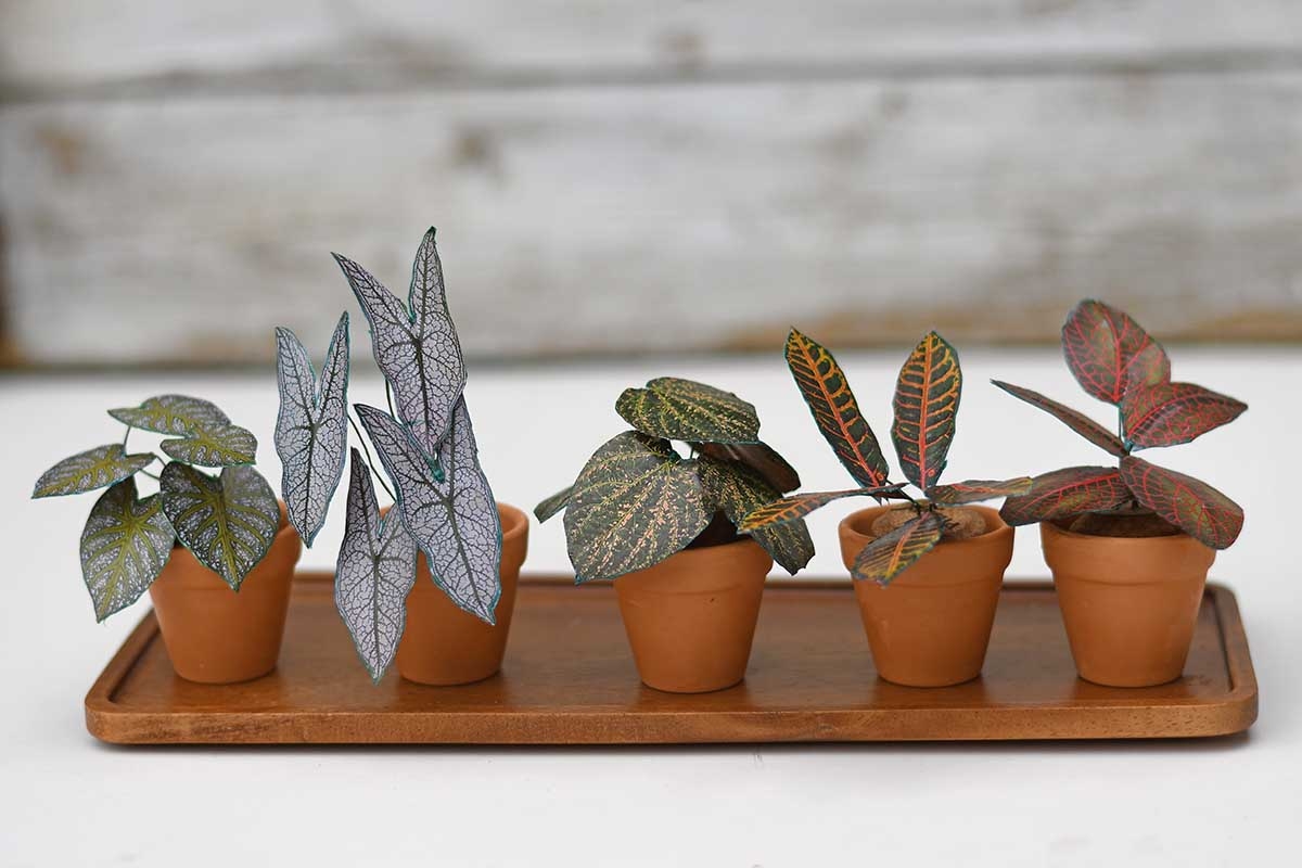 DIY Paper Plants Mini Tropical House Plants With Free Printables Pillar Box Blue DIY Paper Plants Mini Tropical House Plants With Free Printables Pillar Box Blue