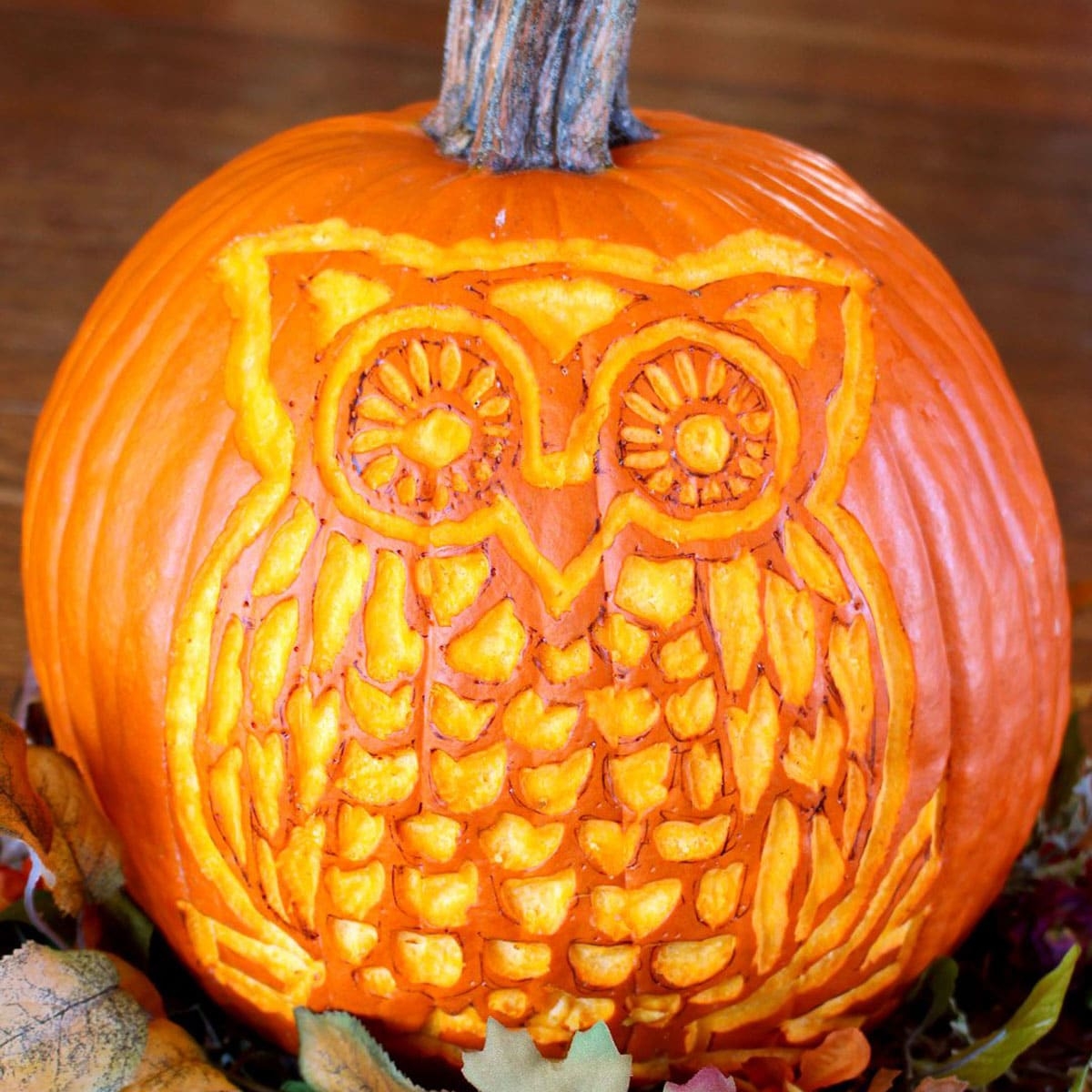DIY Woodland Owl Pumpkin Carving Free Stencil Pattern Welcome DIY Woodland Owl Pumpkin Carving Free Stencil Pattern Welcome