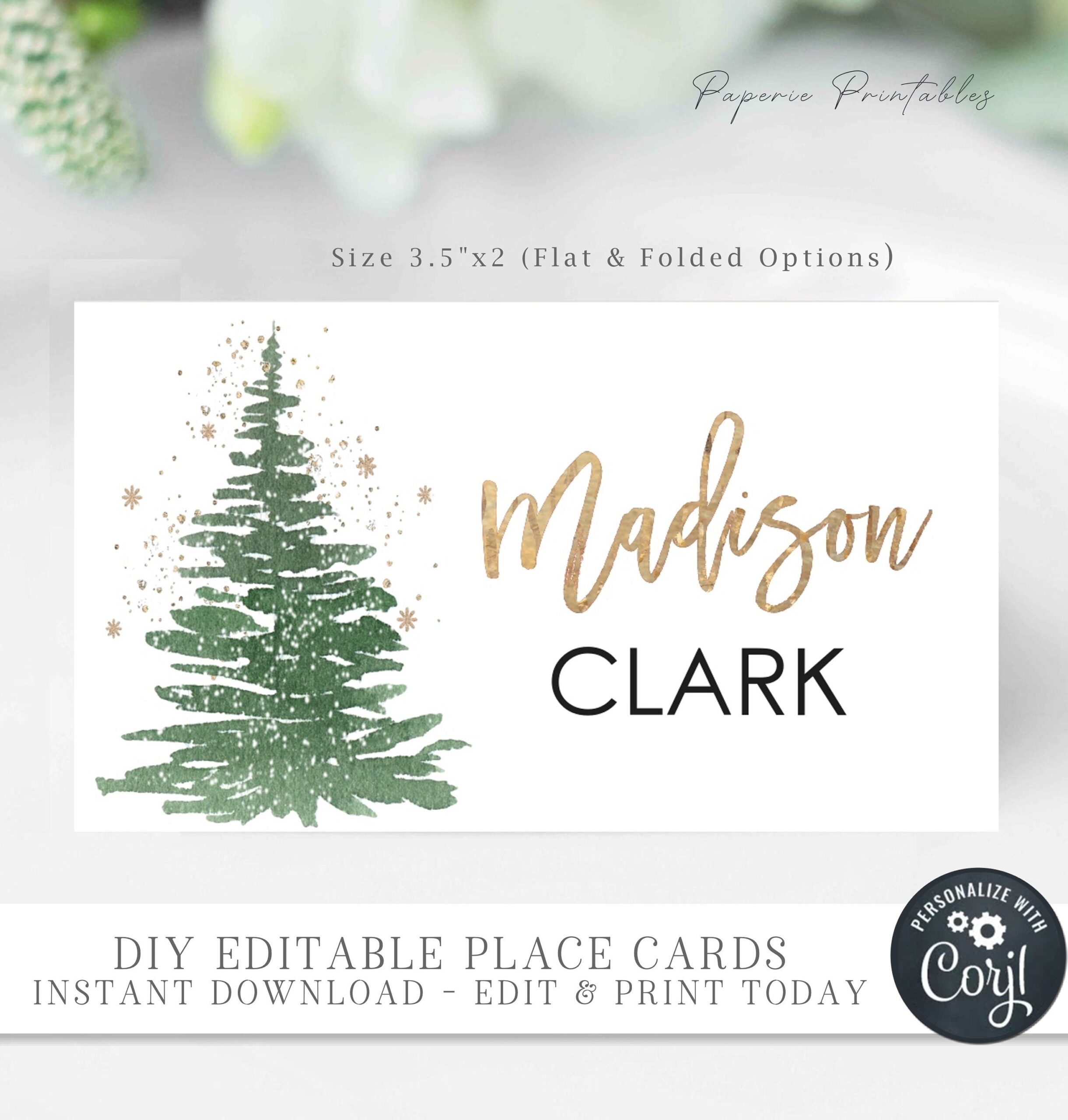 Free Printable Place Cards Template Christmas