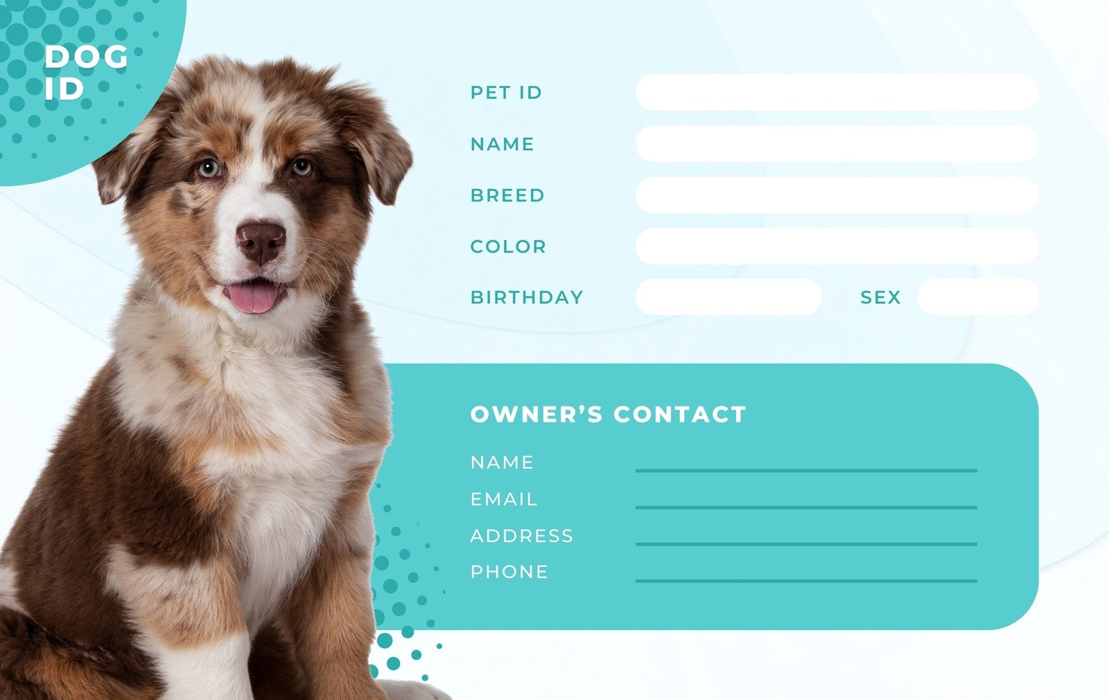 Free Custom Printable Dog ID Card Templates Canva Free Custom Printable Dog ID Card Templates Canva