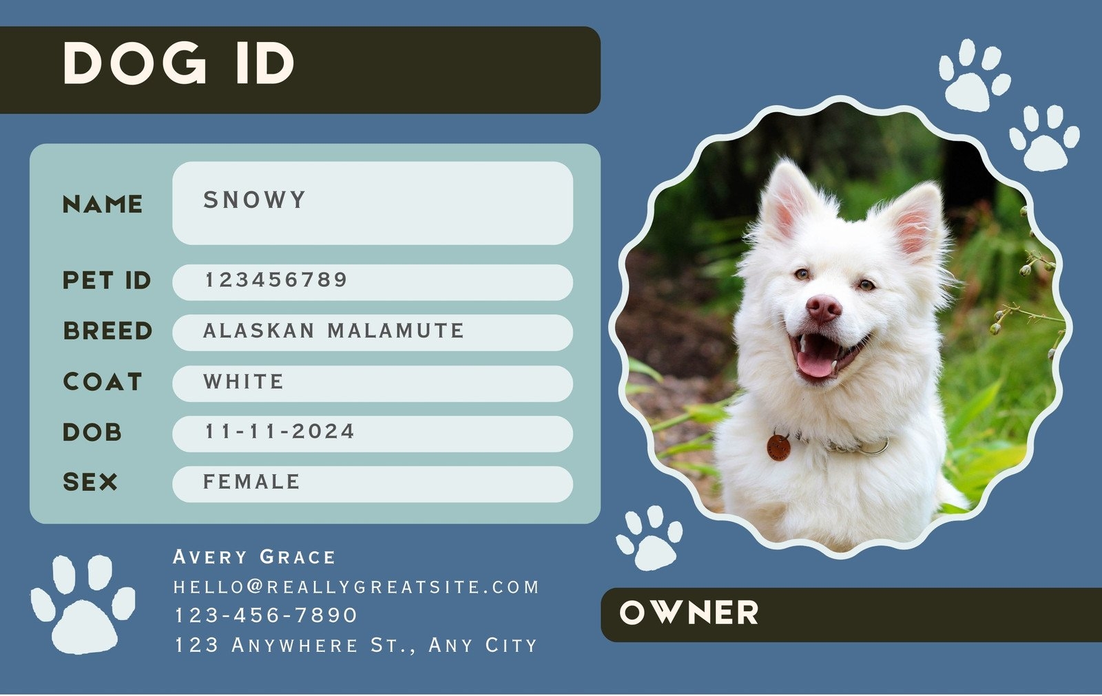 Free Printable Pet Id Card Template