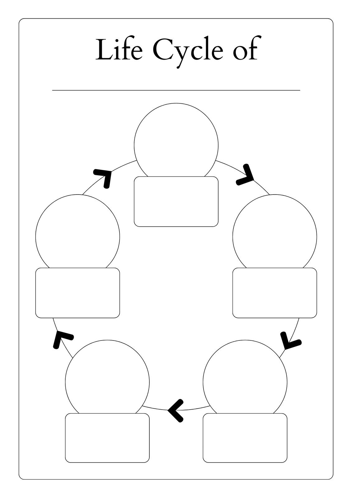 Free Printable Life Cycle Template