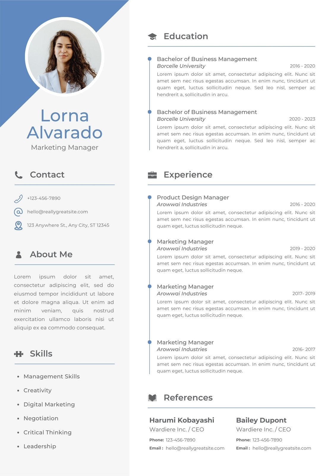 Free Printable Professional Resume Template Free Printable Professional Resume Template
