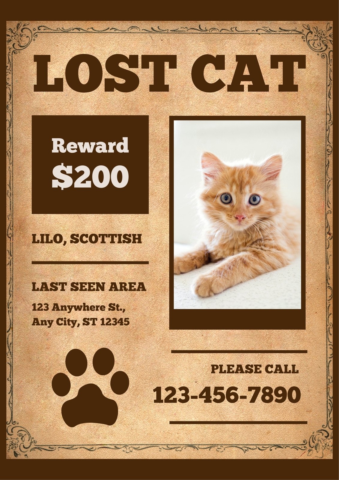 Free Printable Editable Lost Cat Poster Templates Canva Free Printable Editable Lost Cat Poster Templates Canva