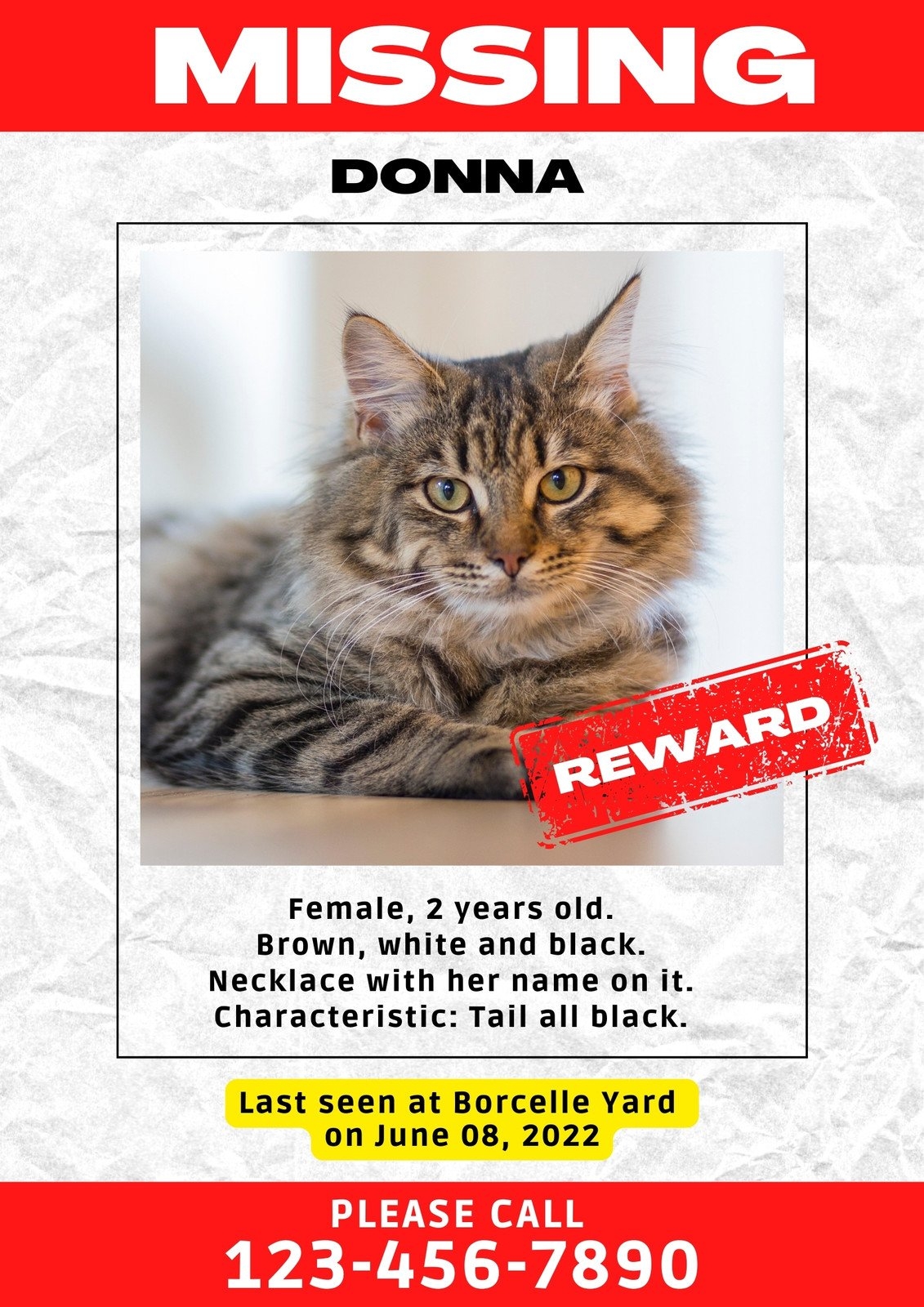 Free Printable Editable Lost Cat Poster Templates Canva Free Printable Editable Lost Cat Poster Templates Canva