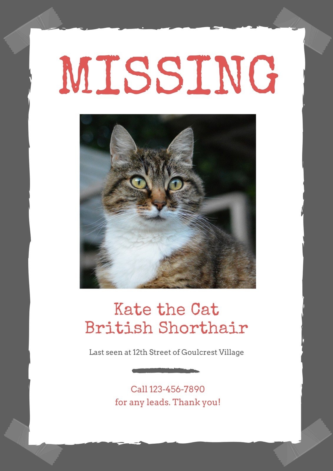 Free Printable Missing Cat Poster Template