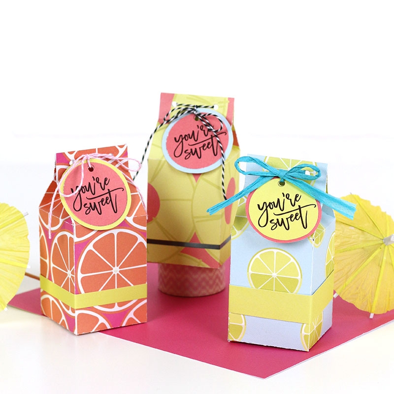Free Printable Milk Carton Treat Box Template And Cut File Persia Lou