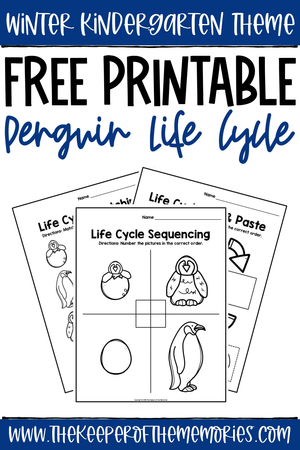 Free Printable Penguin Life Cycle Worksheets The Keeper Of The Free Printable Penguin Life Cycle Worksheets The Keeper Of The