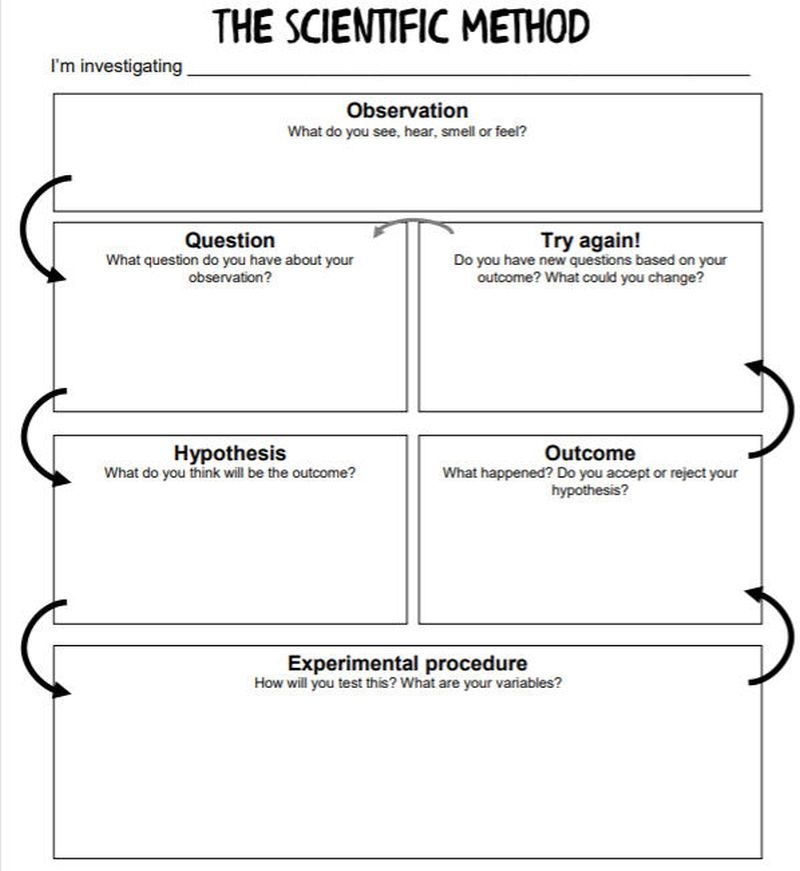 Free Printable Scientific Method Graphic Organizer For Teachers Worksheets Library