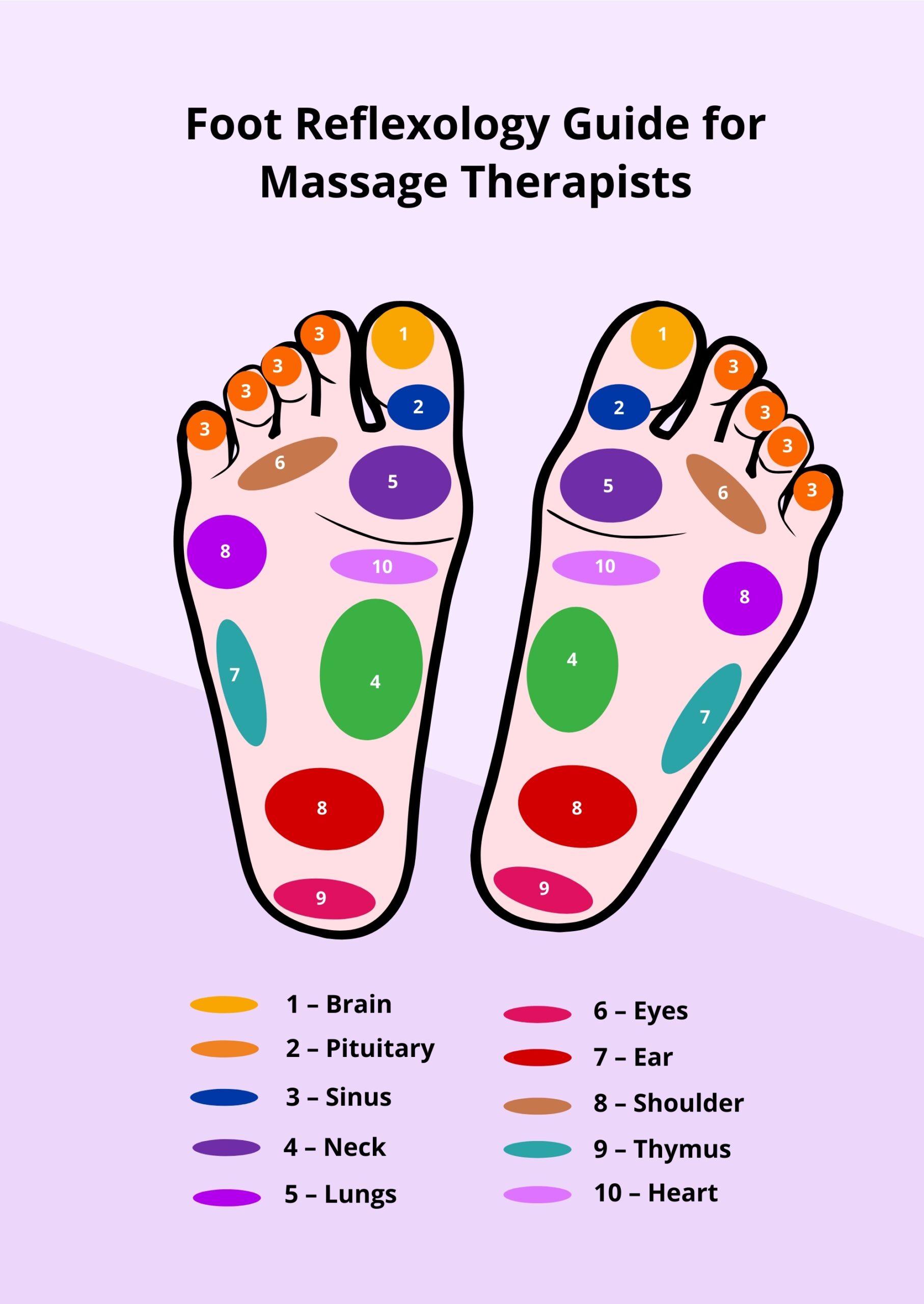 Free Printable Reflexology Brochure Templates