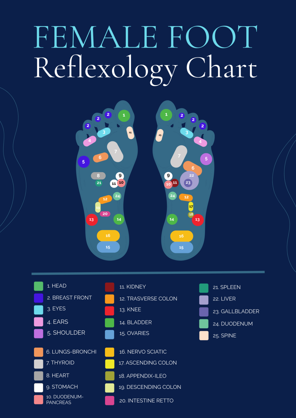 Free Reflexology Chart Templates Editable And Printable Free Reflexology Chart Templates Editable And Printable