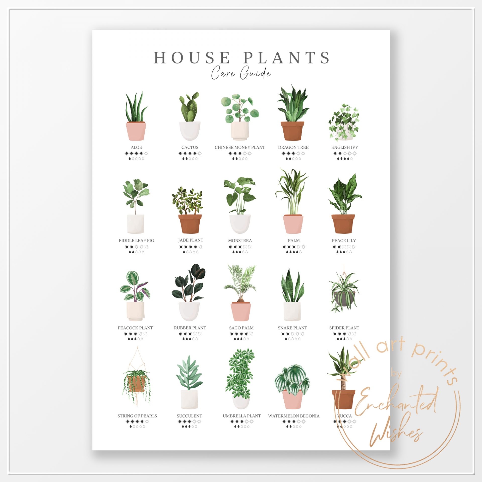 House Plants Care Guide Print Wall Art House Plants Care Guide Print Wall Art