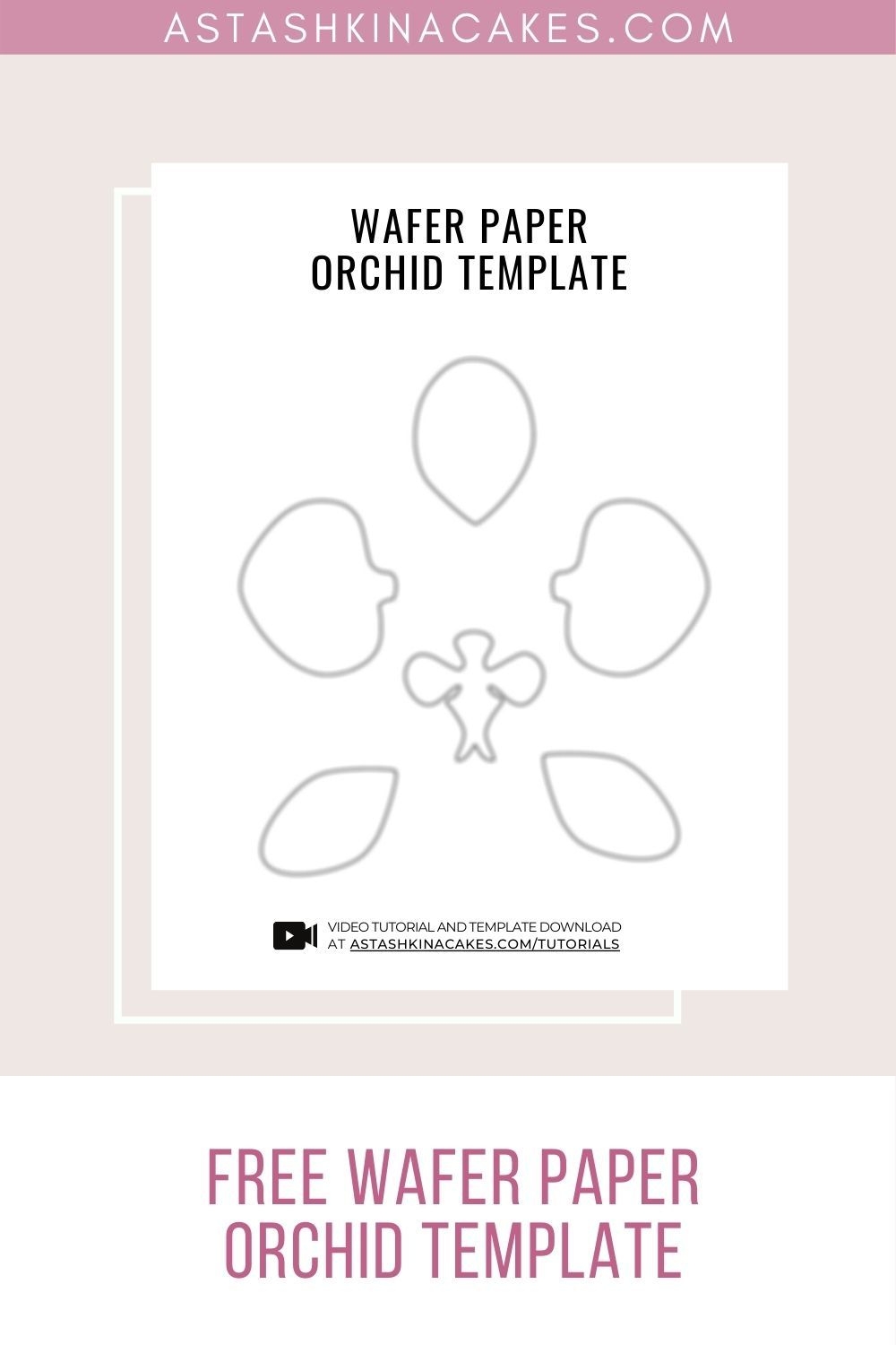 Free Printable Orchid Template