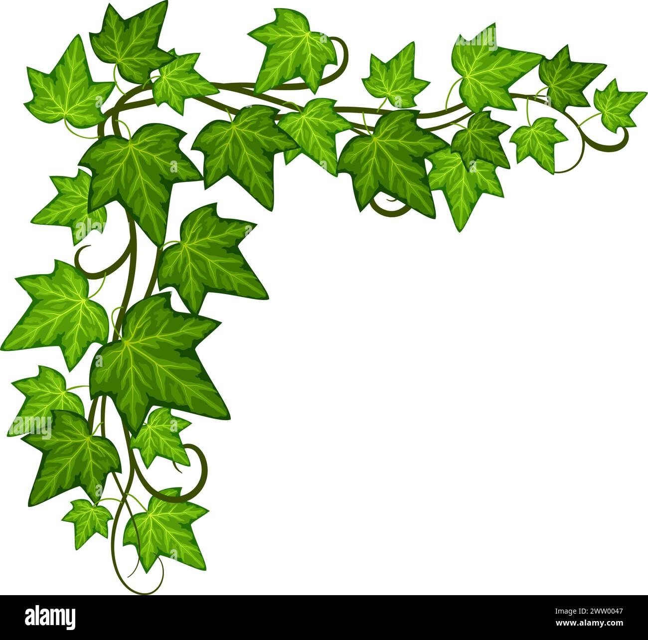 Free Printable Ivy Vine Templates