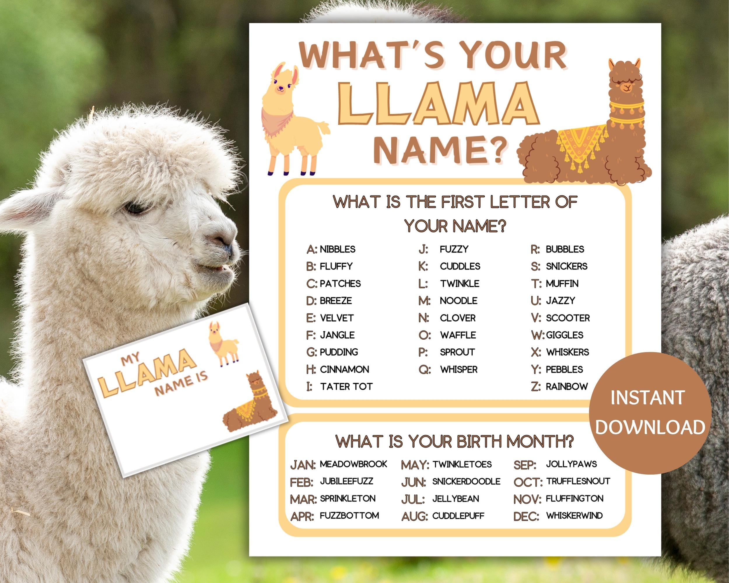 Free Printable Name Tags Template Llama
