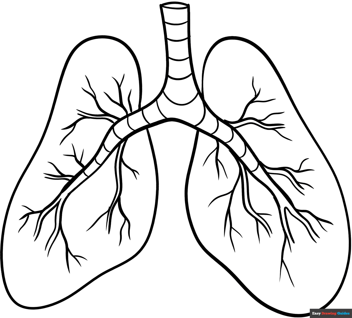 Free Printable Lungs Template