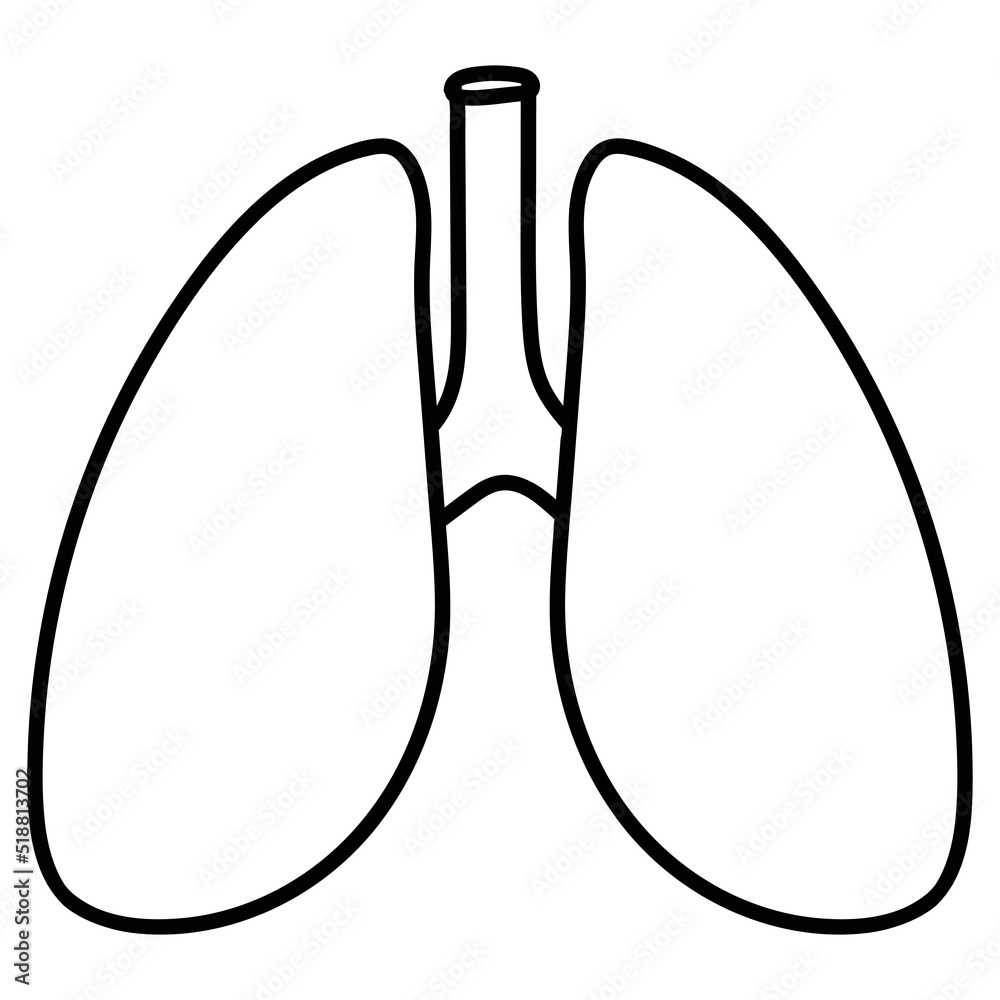 Lungs The Doodle Of The Internal Organ Black Contour Drawing Linear Icon Of The Human Respiratory System Stock Vector Adobe Stock