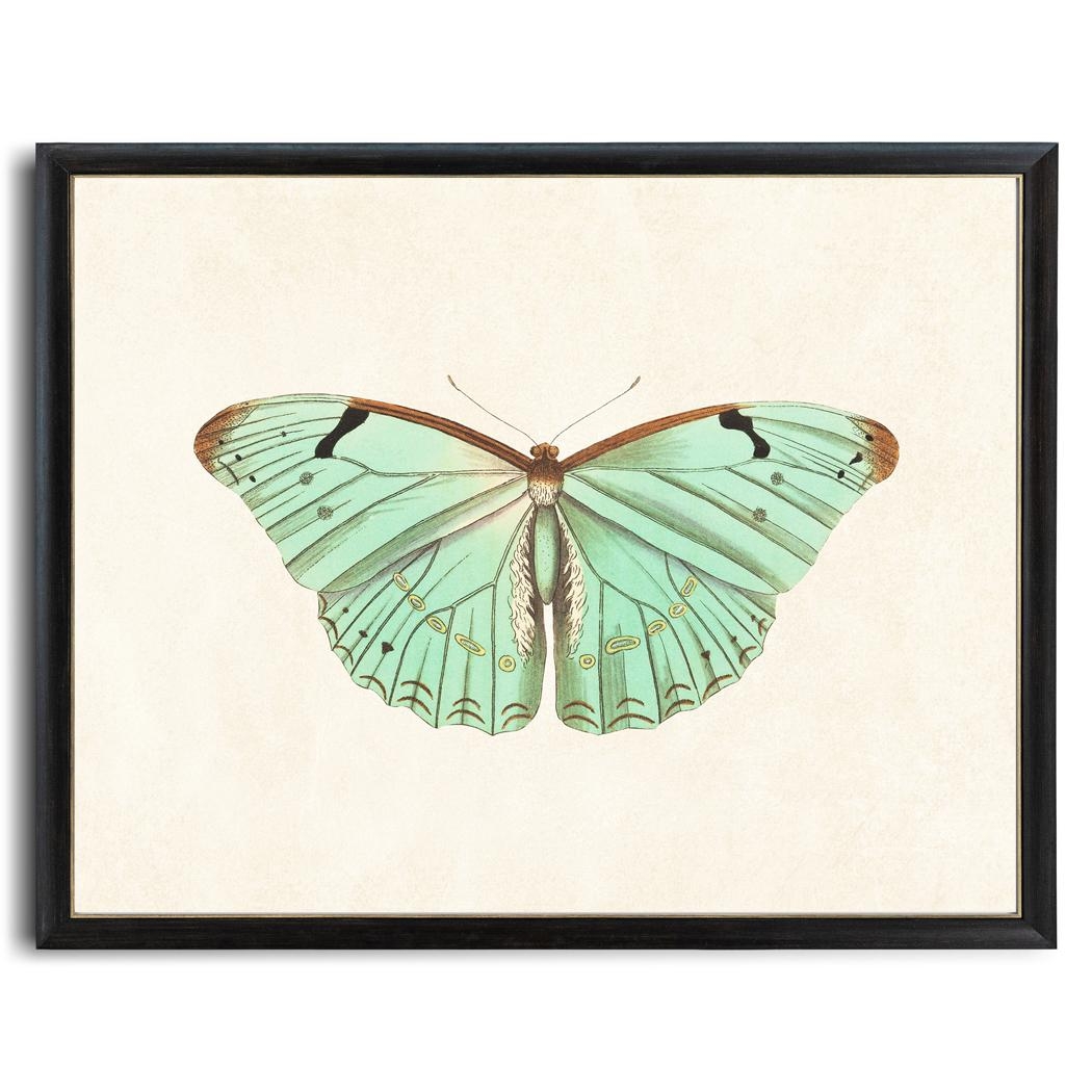 Mint Green Butterfly Printable Art Vintage Insect Illustration Natural History Minimal Wall Art Decor INSTANT DOWNLOAD Etsy