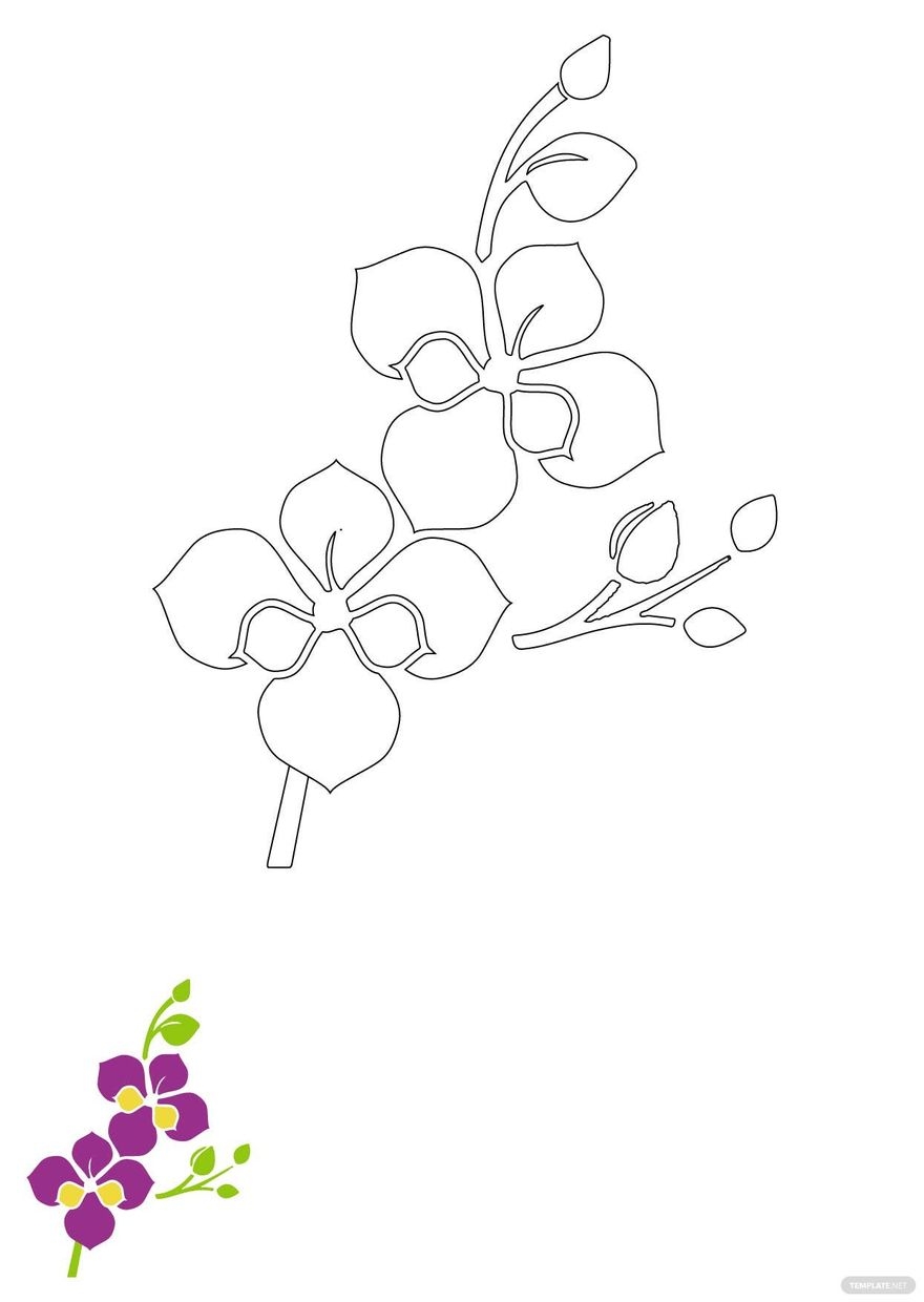 Orchid Flowers Coloring Page In JPG EPS PDF Download 
