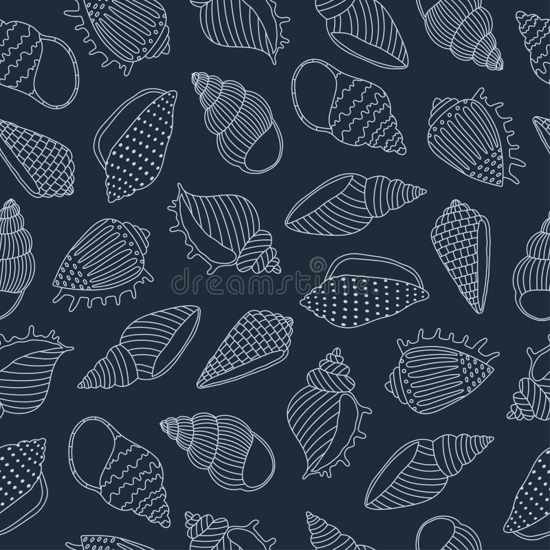 Outline Seashells Stock Illustrations 1 984 Outline Seashells Stock Illustrations Vectors U0026 Clipart Dreamstime