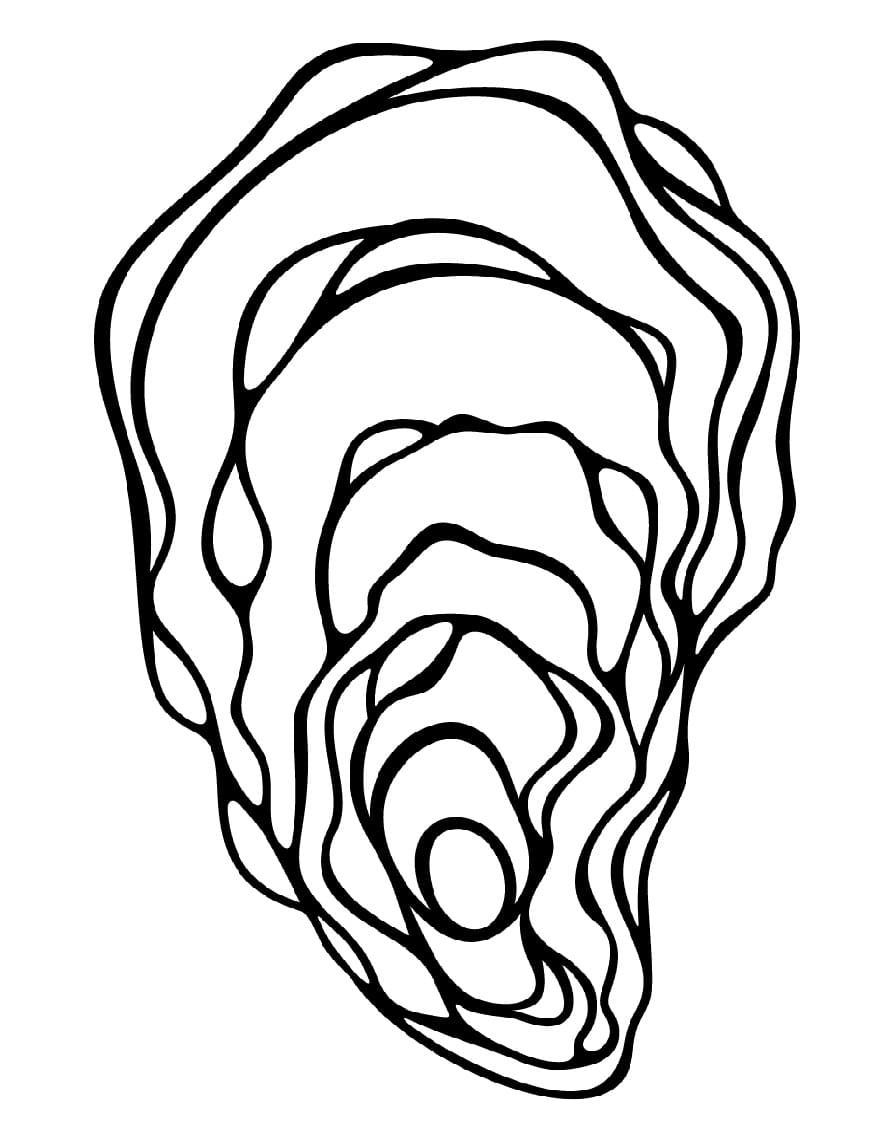 Oyster Printable Coloring Page Download Print Or Color Online For Free Oyster Printable Coloring Page Download Print Or Color Online For Free