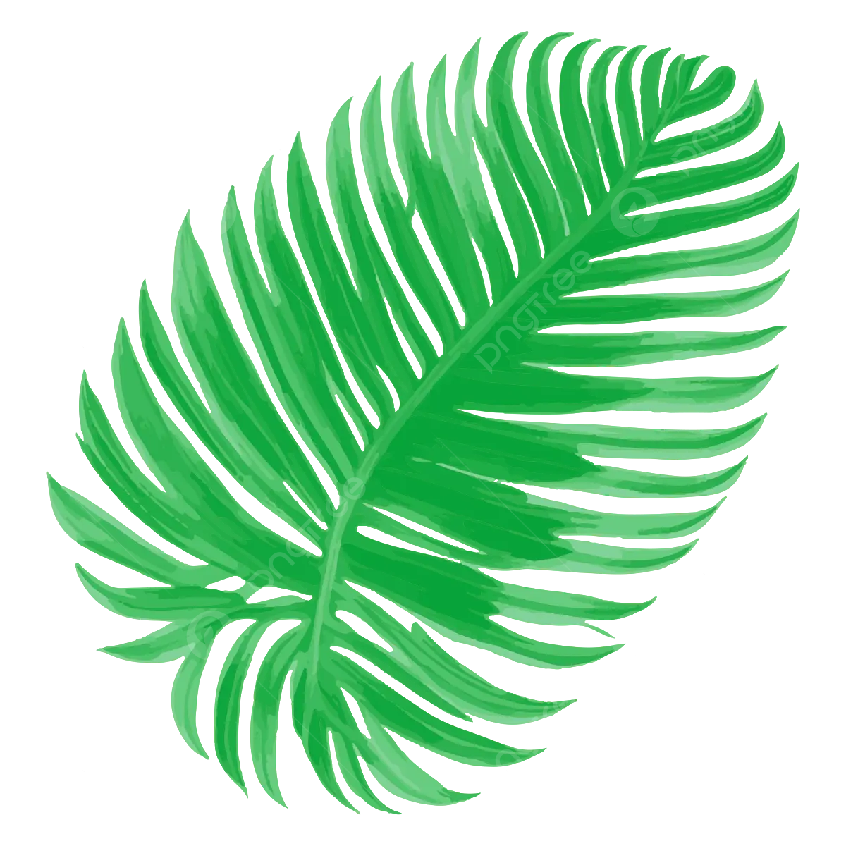 Palm Leaf Tropical Tropical Leaf Green Leaf PNG Transparent Clipart Image And PSD File For Free Download