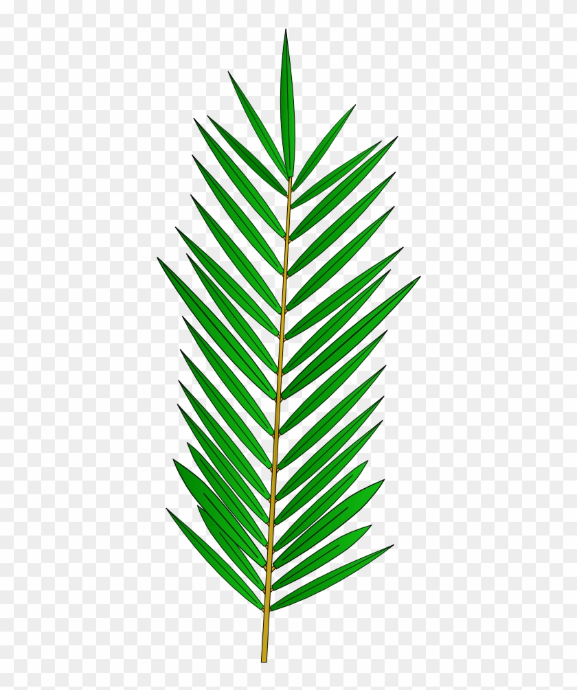 Free Printable Palm Leaf Templates