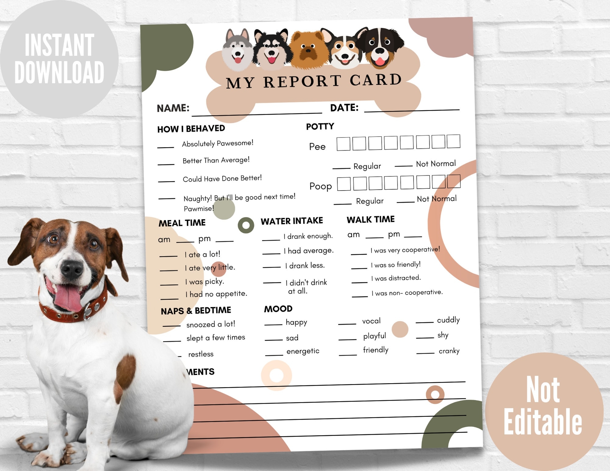 Pet Report Card Form Instant Download Dog Report Card Ready To Print Pet Sitter Form Dog Walker Report Form Etsy
