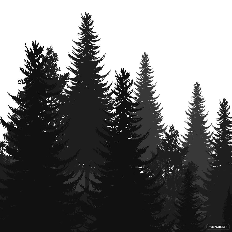 Pine Tree Silhouette In PSD Illustrator SVG JPG EPS PNG Download Template Pine Tree Silhouette In PSD Illustrator SVG JPG EPS PNG Download Template