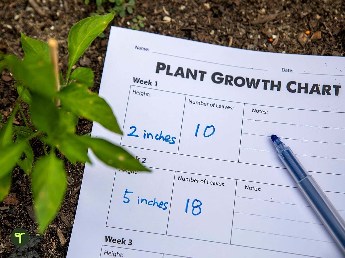 Free Printable Plant Growth Graph Template