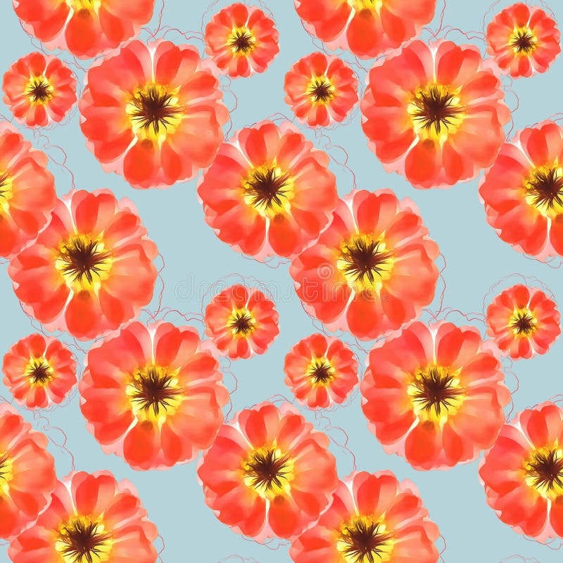 Portulaca Flowers Stock Illustrations 211 Portulaca Flowers 