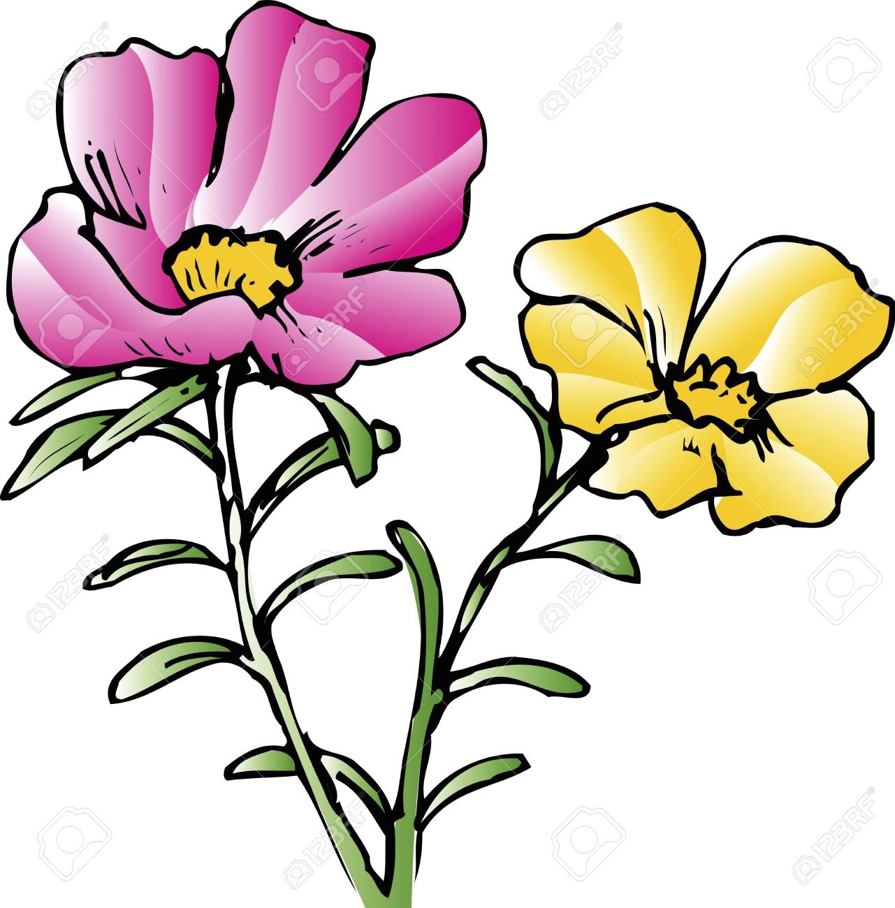 Free Printable Portulaca Flower Template