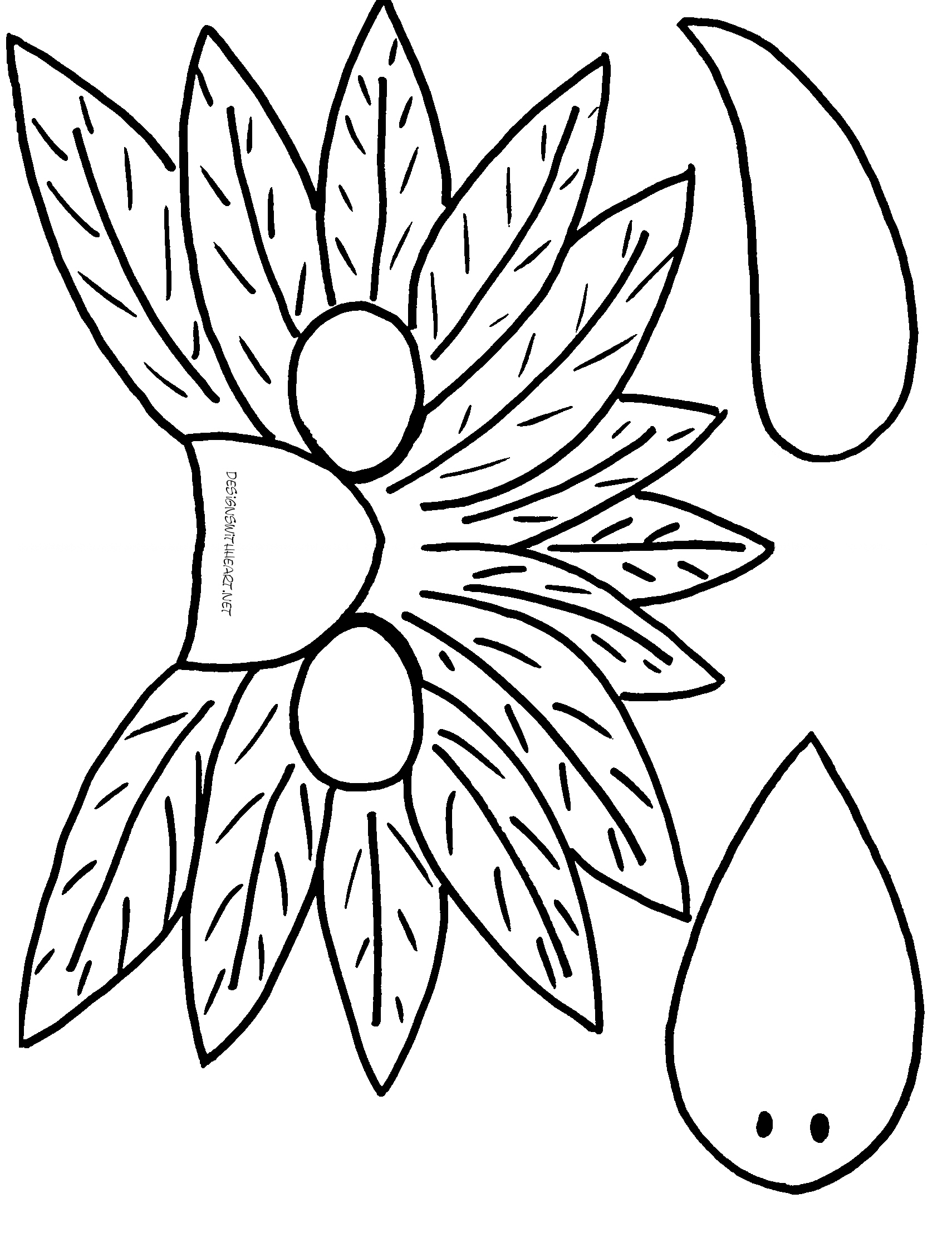 Free Printable Parrot Mask Templates