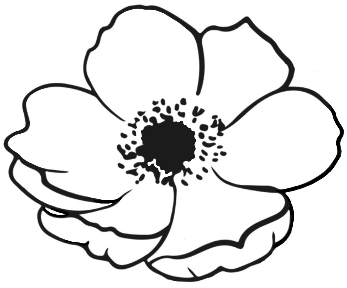 Printable Poppy To Colour In Rooftop Post Printables Printable Poppy To Colour In Rooftop Post Printables