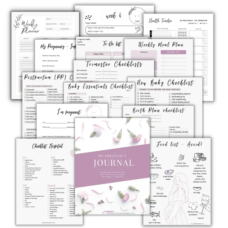 Printable Pregnancy Journal Pdf
