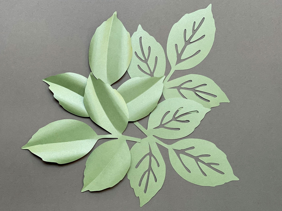 Rose LEAF Template