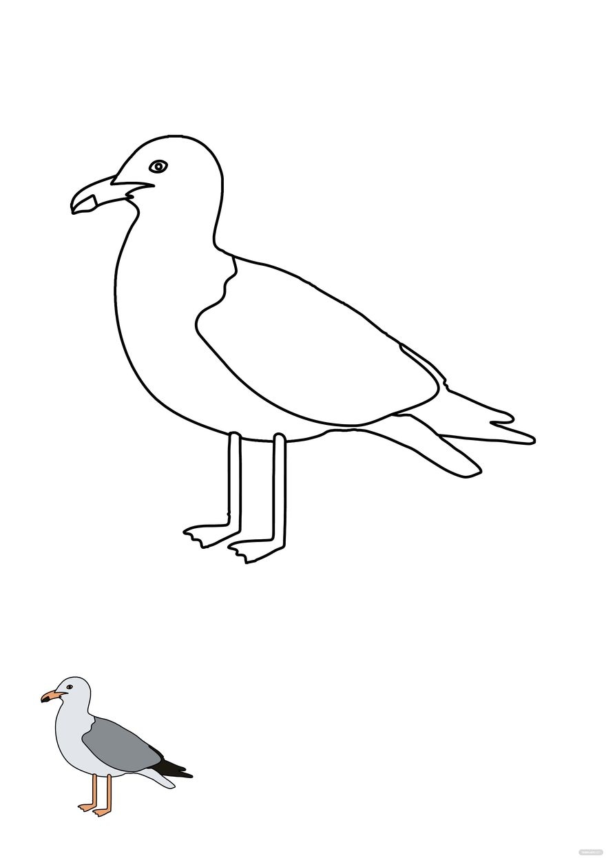 Seagull Coloring Page Template In PDF EPS JPEG Download Template Seagull Coloring Page Template In PDF EPS JPEG Download Template