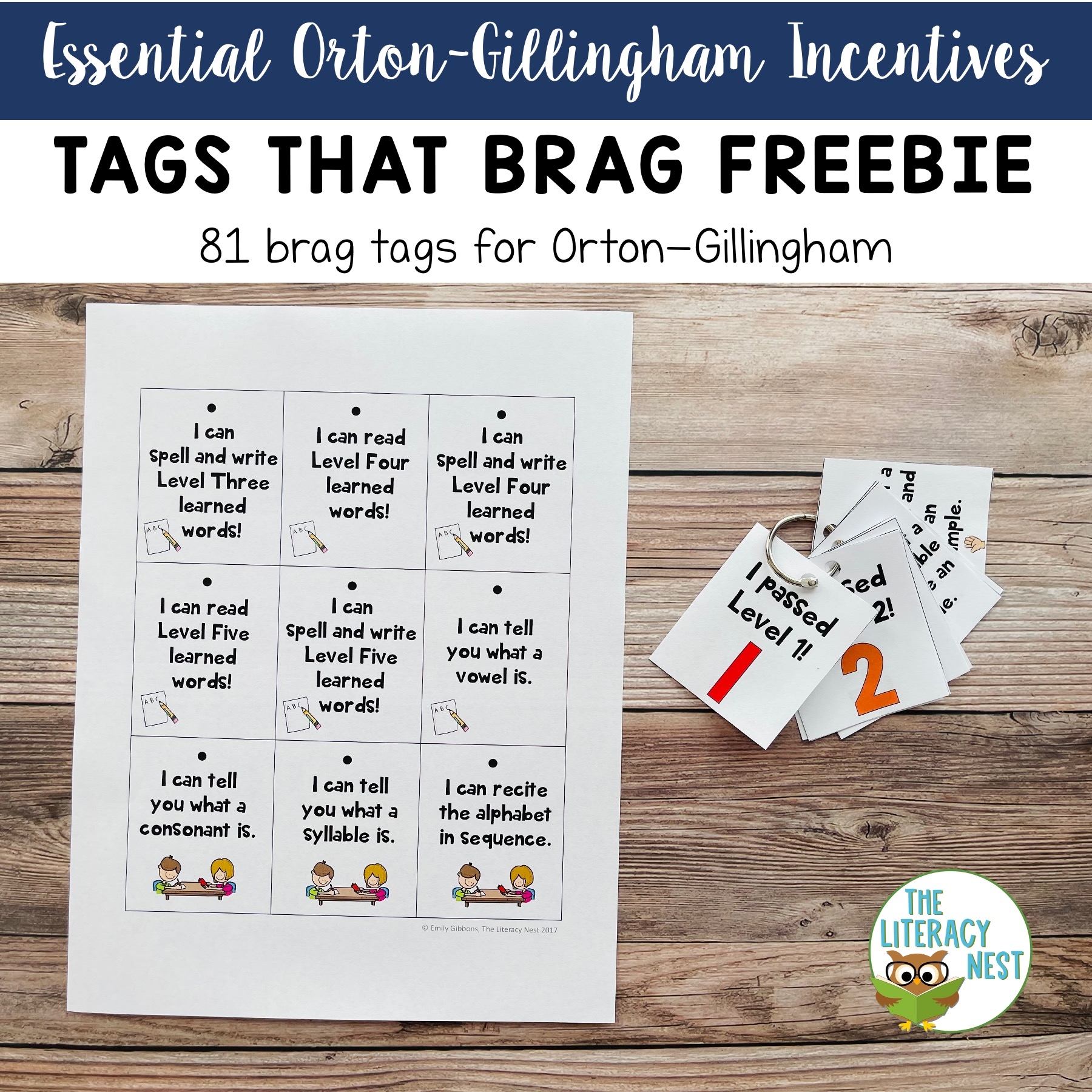 Tags That Brag Freebie For Reading And Spelling For Orton Gillingham Lesson The Literacy Nest