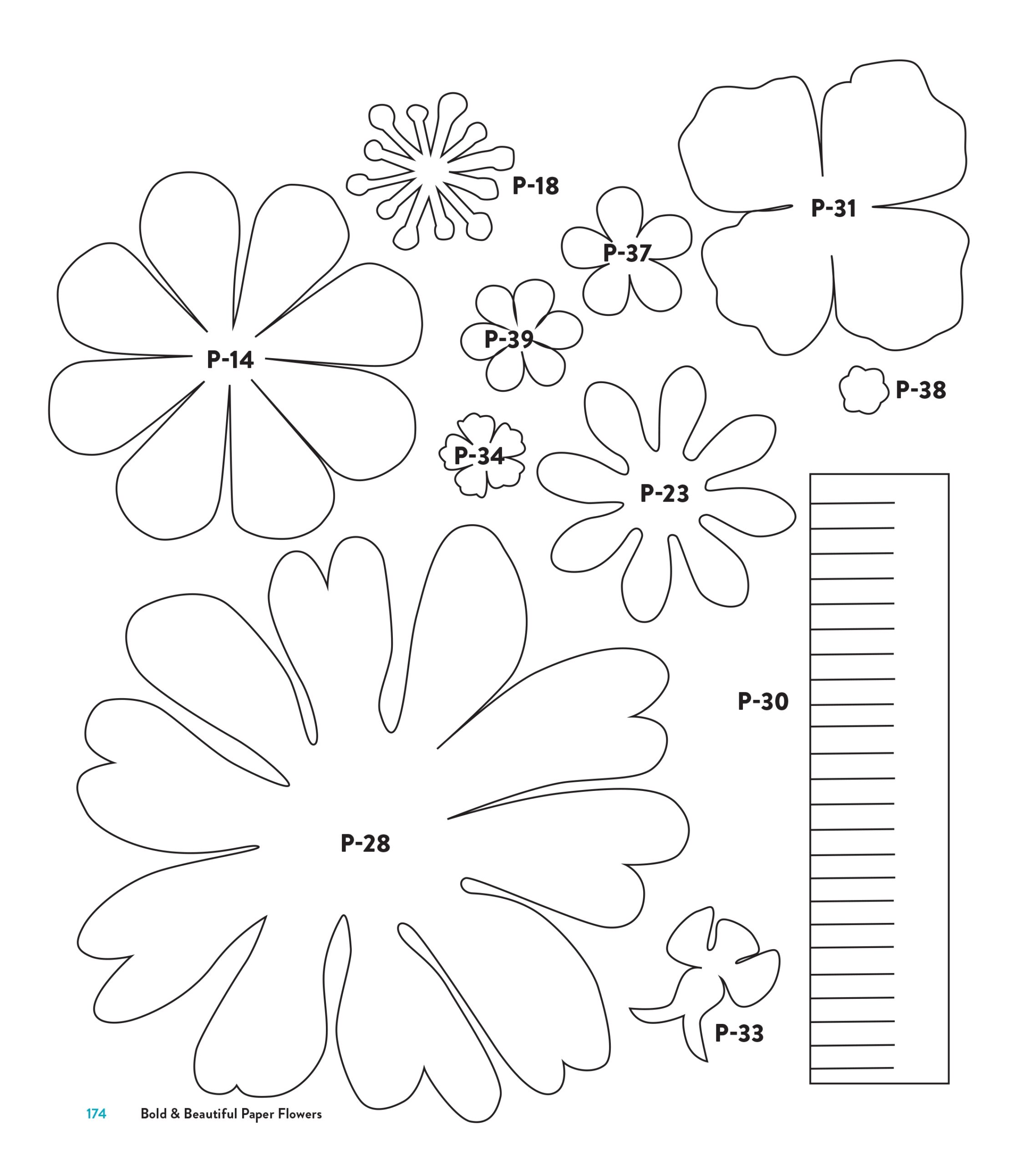 Free Printable Paper Flowers Template