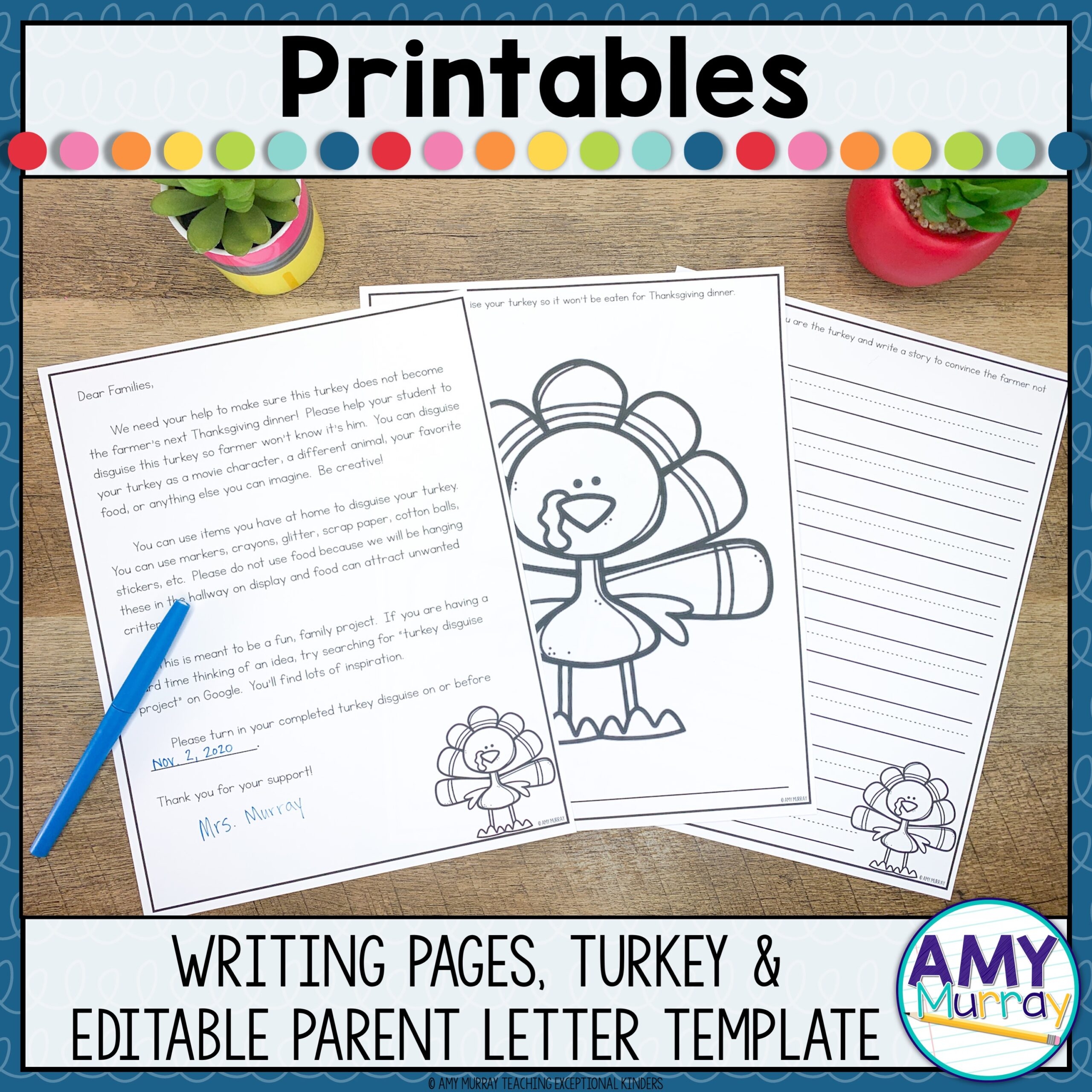 Turkey Wholesalers Disguise Project Teacher Made Twinkl