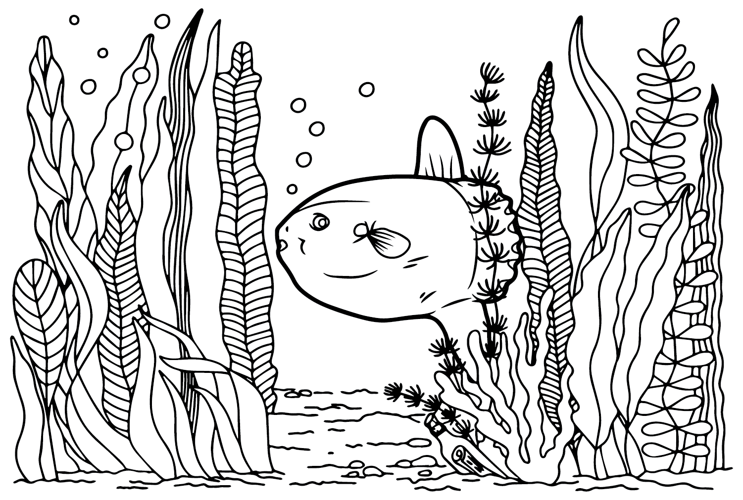 20 Ocean Sunfish Coloring Pages Free Printable PDF Online Coloring