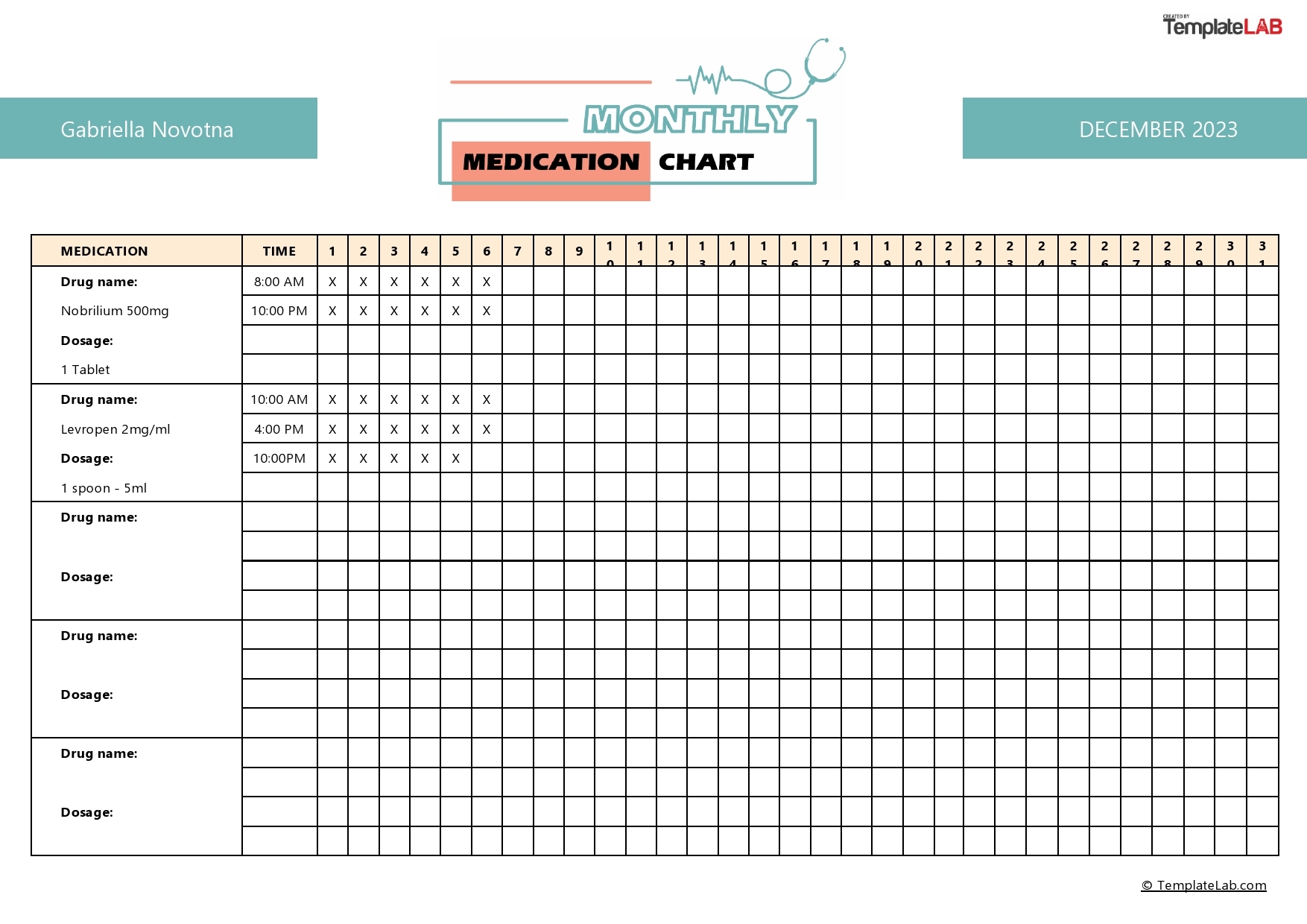 Medication Schedule Chart Printable