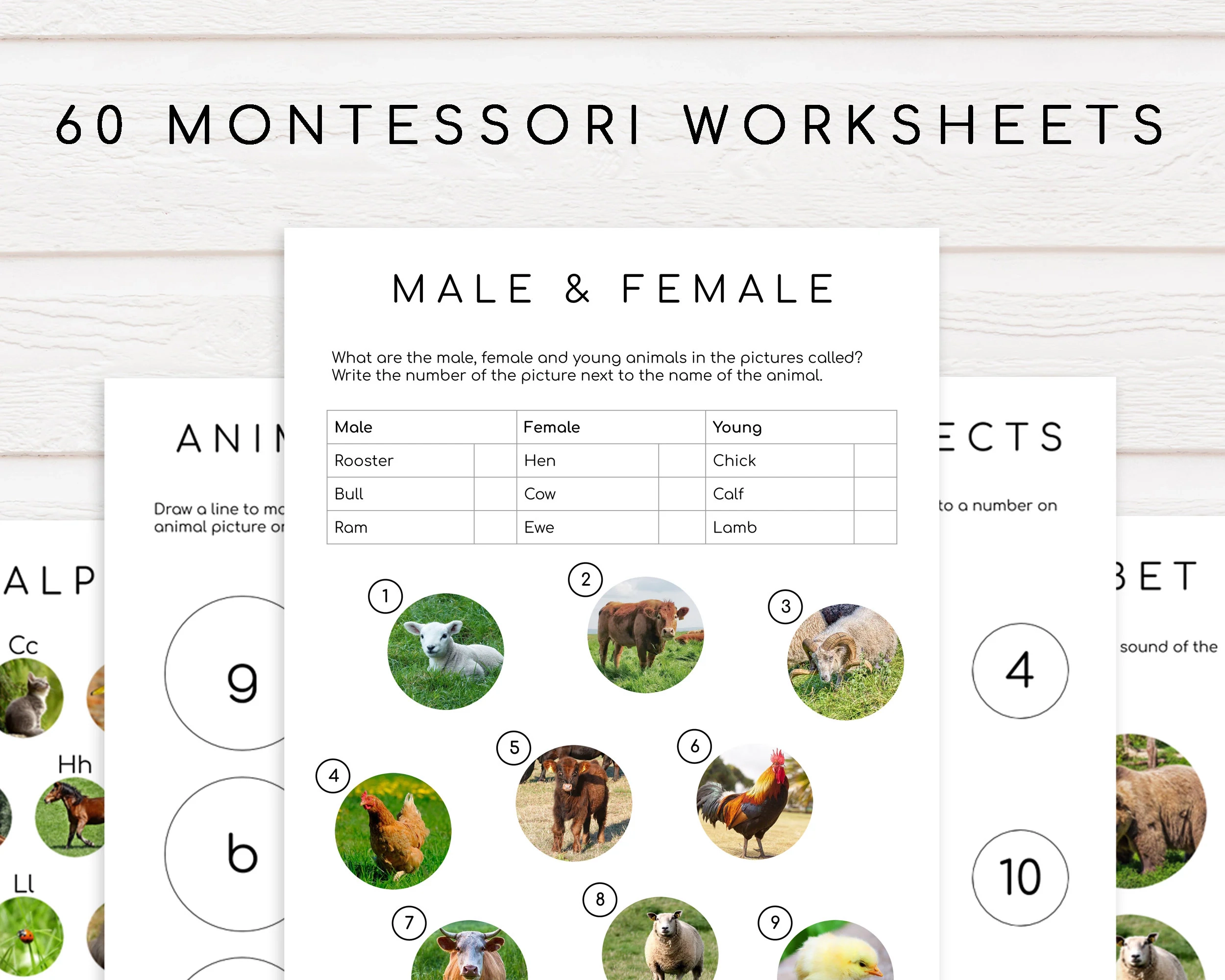 60 Montessori Worksheets Ages 3 6 Preschool Pre k And Kindergarten Homeschool Etsy