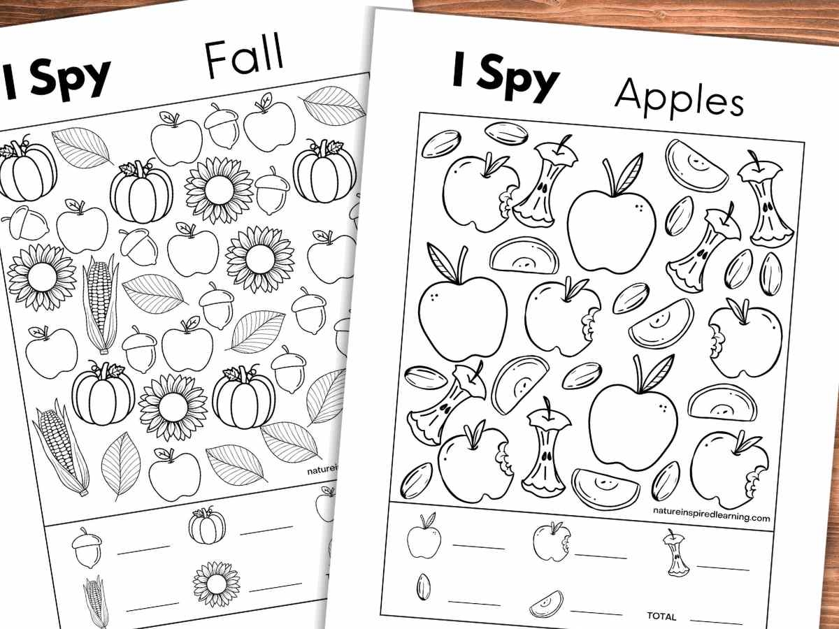 8 Fall I Spy Printables Nature Inspired Learning